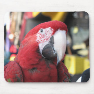 Macawmousepad Musmatta
