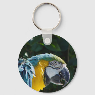 Macawnyckelring Nyckelring