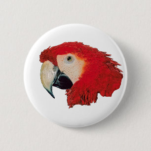 Macawpapegojaemblem klämmer fast knapp