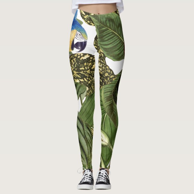 Macawpapegojafågel All över tryckdamasker Leggings (Framsida)