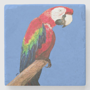 Macawpapegojakustfartyg. Original- konst Underlägg Sten