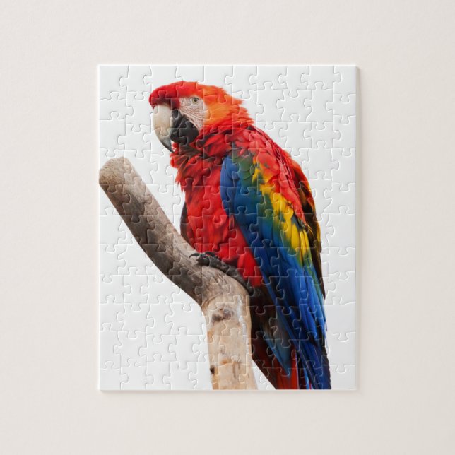 Macawpapegojapussel Pussel (Vertikal)