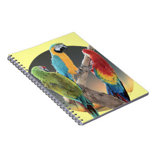 Macawpapegojor Anteckningsbok Med Spiral