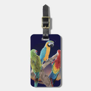 Macawpapegojor Bagagebricka