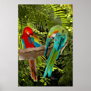 Macawpapegojor i en tropisk skogaffisch poster