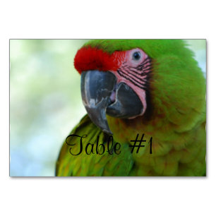 Macaws Bordsnummer