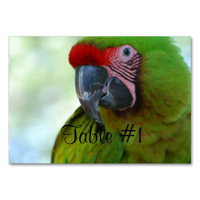 Macaws Bordsnummer (Framsidan)