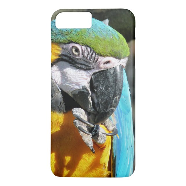 MACAWS Case-Mate iPhone SKAL (Baksida)