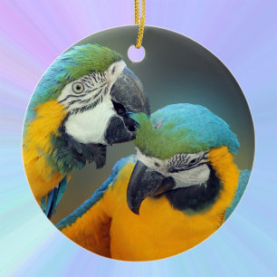 Macaws i kärlek julgransprydnad keramik