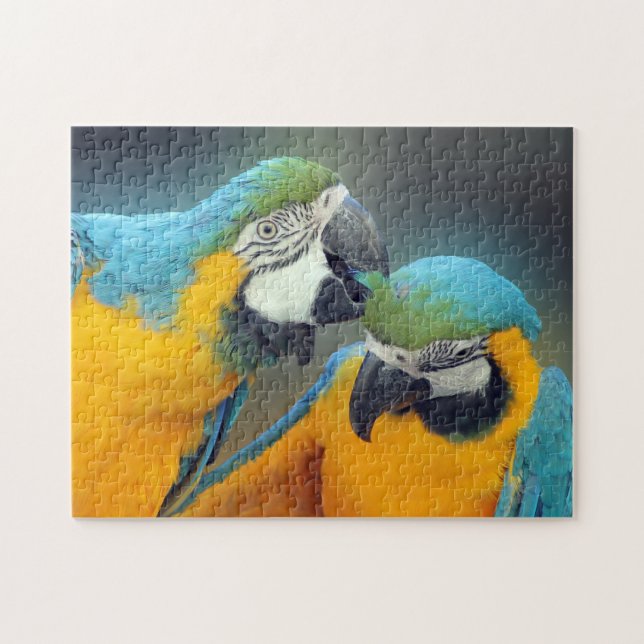 Macaws i kärlek pussel (Horisontell)