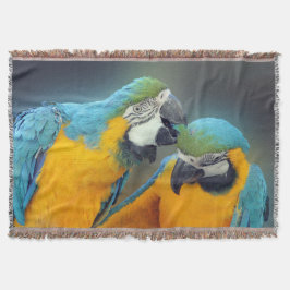 Macaws in love filt