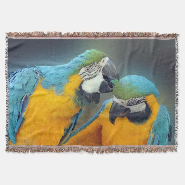 Macaws in love filt (Framsidan)