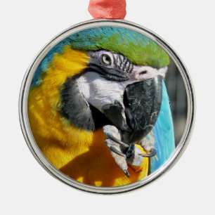 MACAWS JULGRANSPRYDNAD METALL