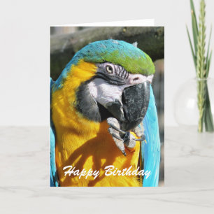 MACAWS KORT