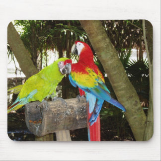 Macaws Mousepad Musmatta