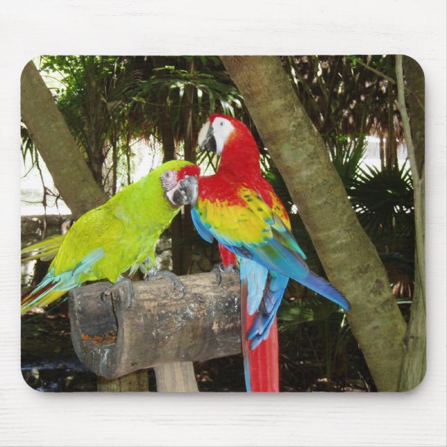 Macaws Mousepad Musmatta (Framsidan)