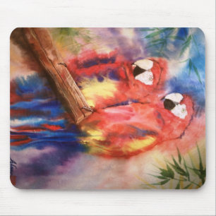 Macaws Musmatta