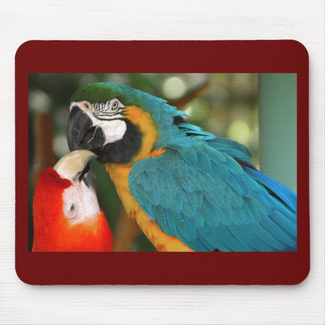 Macaws Musmatta (Framsidan)