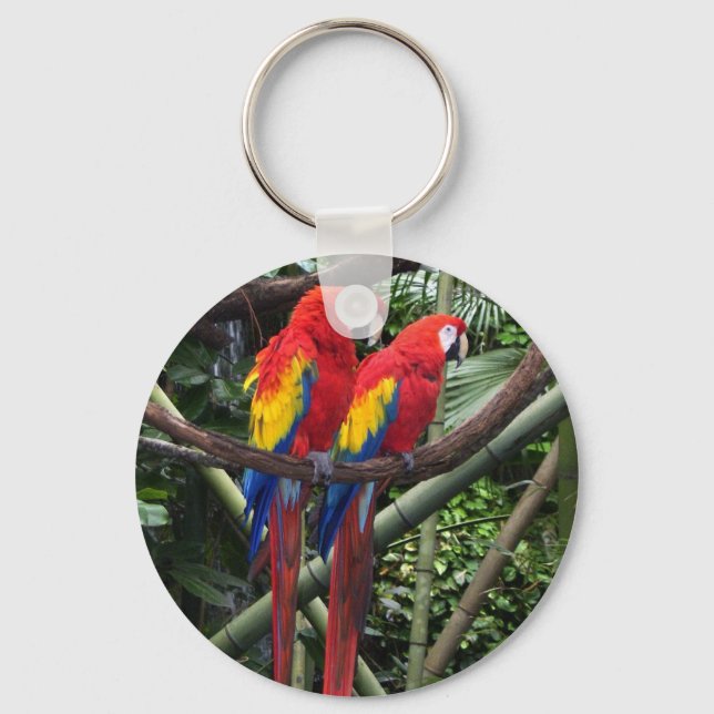 macaws nyckelring (Framsida)