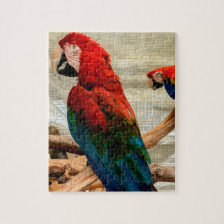 Macaw's on tree limb puzzle pussel