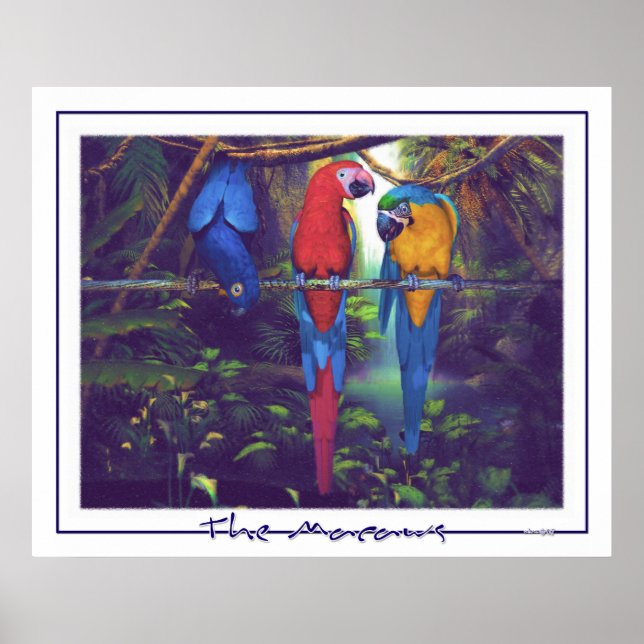 Macaws - Poster (Framsidan)