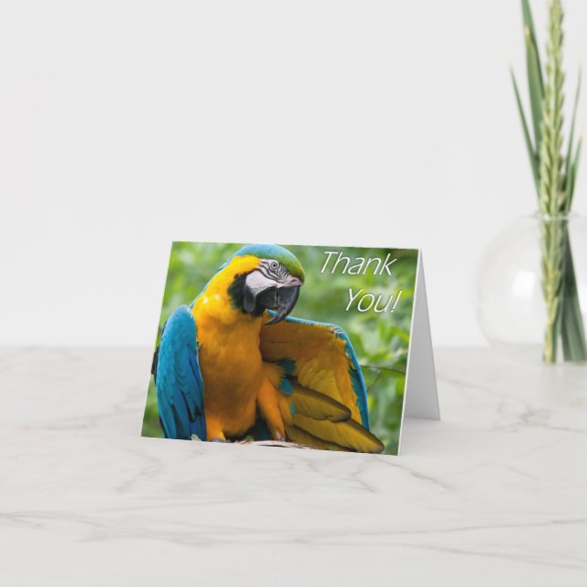 Macawtack Notecards Tack Kort (Framsida)