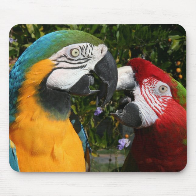 Macawvänner Mousepad Musmatta (Framsidan)