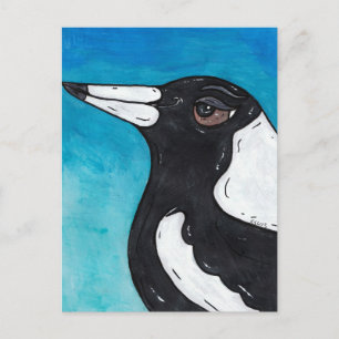 Macca the Magpie Vykort