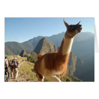 Macchu Picchu Hälsningskort