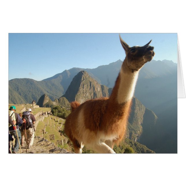 Macchu Picchu Hälsningskort (Framsidan Horizontal)
