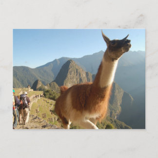 Macchu Picchu Vykort