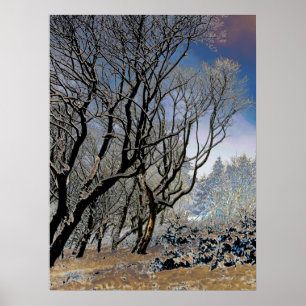 Macclesfield Forest Vinterkort Akryltryck Poster