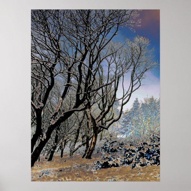 Macclesfield Forest Vinterkort Akryltryck Poster (Framsidan)