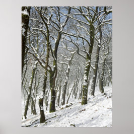 Macclesfield Forest Vinterkort Canvastryck Poster