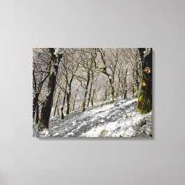 Macclesfield Forest Winter Card Acrylic Print Canvastryck