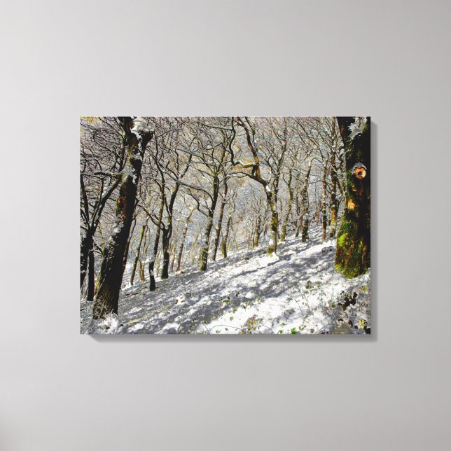 Macclesfield Forest Winter Card Acrylic Print Canvastryck (Framsida)