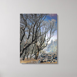 Macclesfield Forest Winter Card Acrylic Print Canvastryck