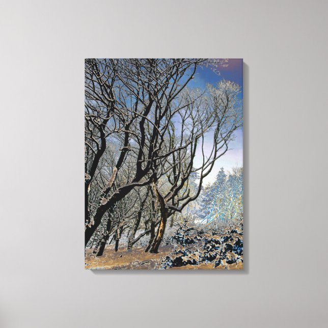 Macclesfield Forest Winter Card Acrylic Print Canvastryck (Framsida)