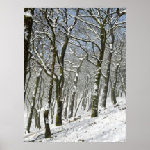 Macclesfield Forest Winter Card-Kanvastryck
