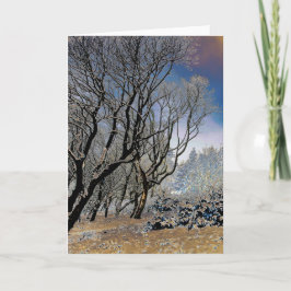 Macclesfield Forest Winter Kort