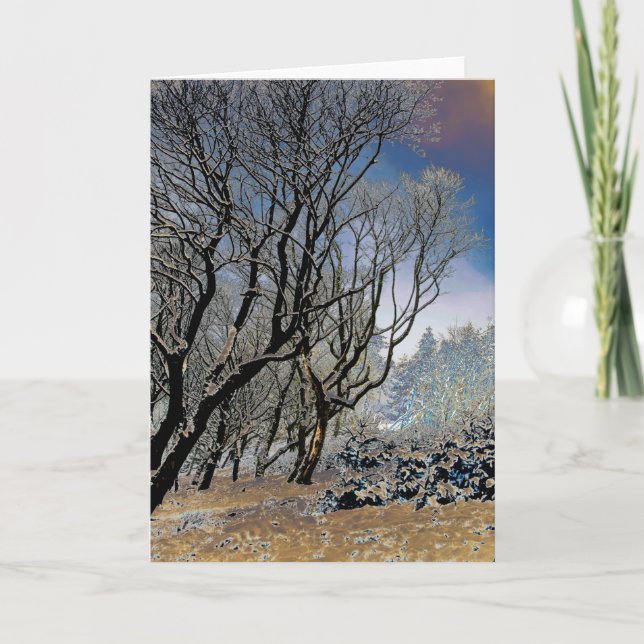 Macclesfield Forest Winter Kort (Framsida)