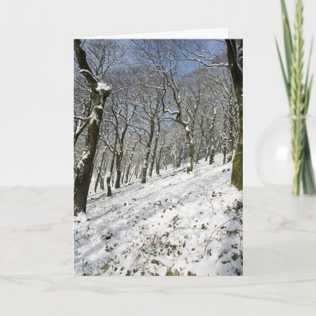 Macclesfield Forest Winter Kort (Framsida)