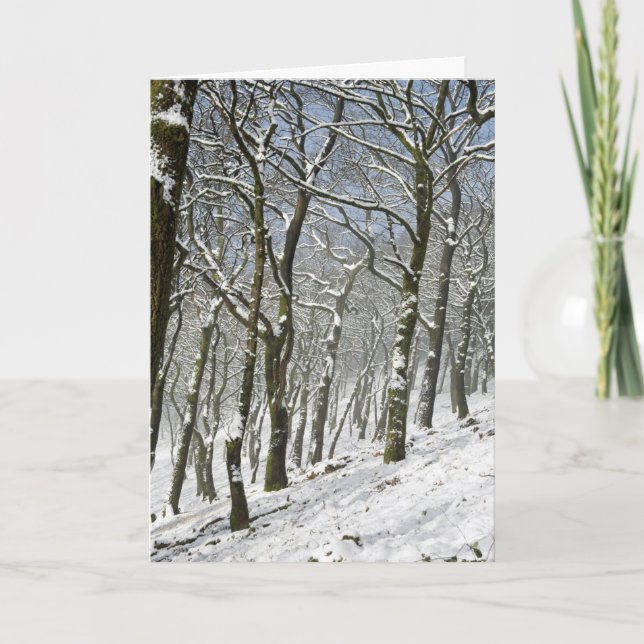 Macclesfield Forest Winter Kort (Framsida)