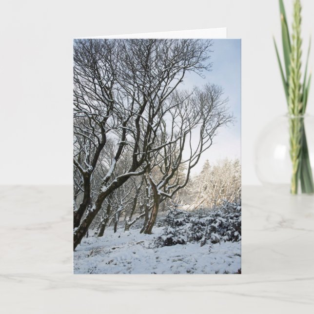 Macclesfield Forest Winter Kort (Framsida)