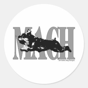 MACH Schnauzer Runt Klistermärke