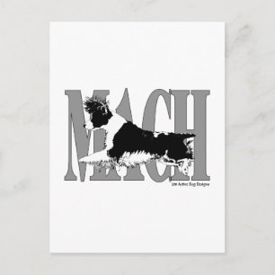 MACH Springer Vykort