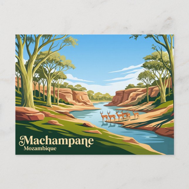 Machampane Wilderness Moçambique Vykort (Framsida)