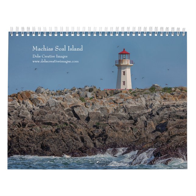 Machias Seal Island (Puffins) 2026 Kalender (Omslag)