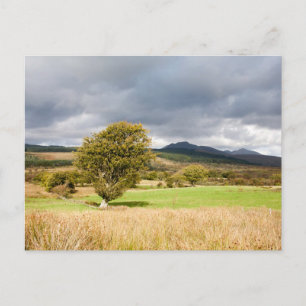 Machrie Moor Vykort