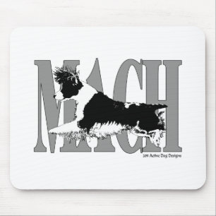 MACHSpringer Musmatta